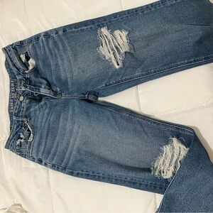 American Eagle Outfitters Blue Distressed Boyfriend Jeans